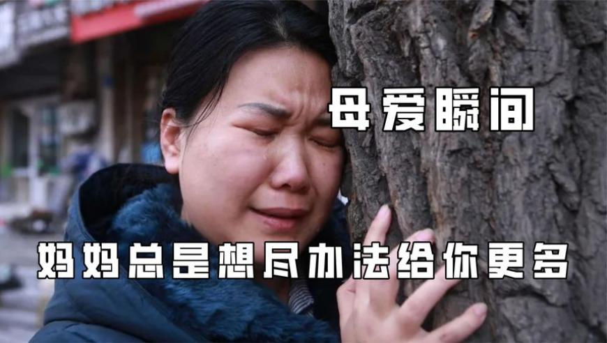 香港管家婆精准资料一肖,张凯丽建议增设家庭暴力罪,精准解释落实的人生哲理_至尊版V13.34
