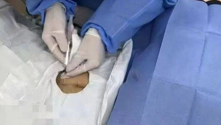 2025澳门管家婆三肖三码大全,网红李美越致歉,机构预测与落实方法揭秘_钱包版V6.56