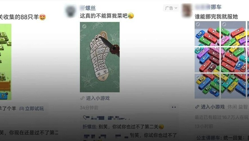 饲养“异宠”背后的风险,2025澳门管家婆资料大全免费老版,创造力策略实施推广_工具版V6.66