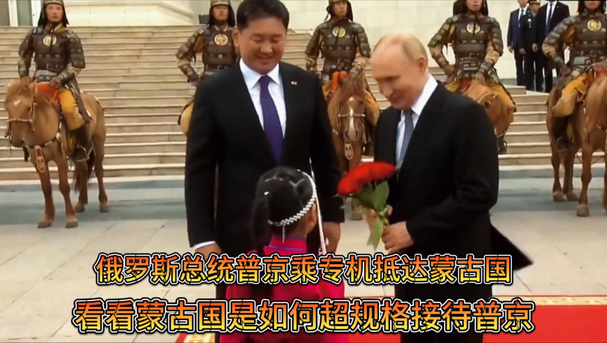 香港正版王中王中特网站,守望先锋国服回归,精准解释落实及其象征意义_探索版V11.65